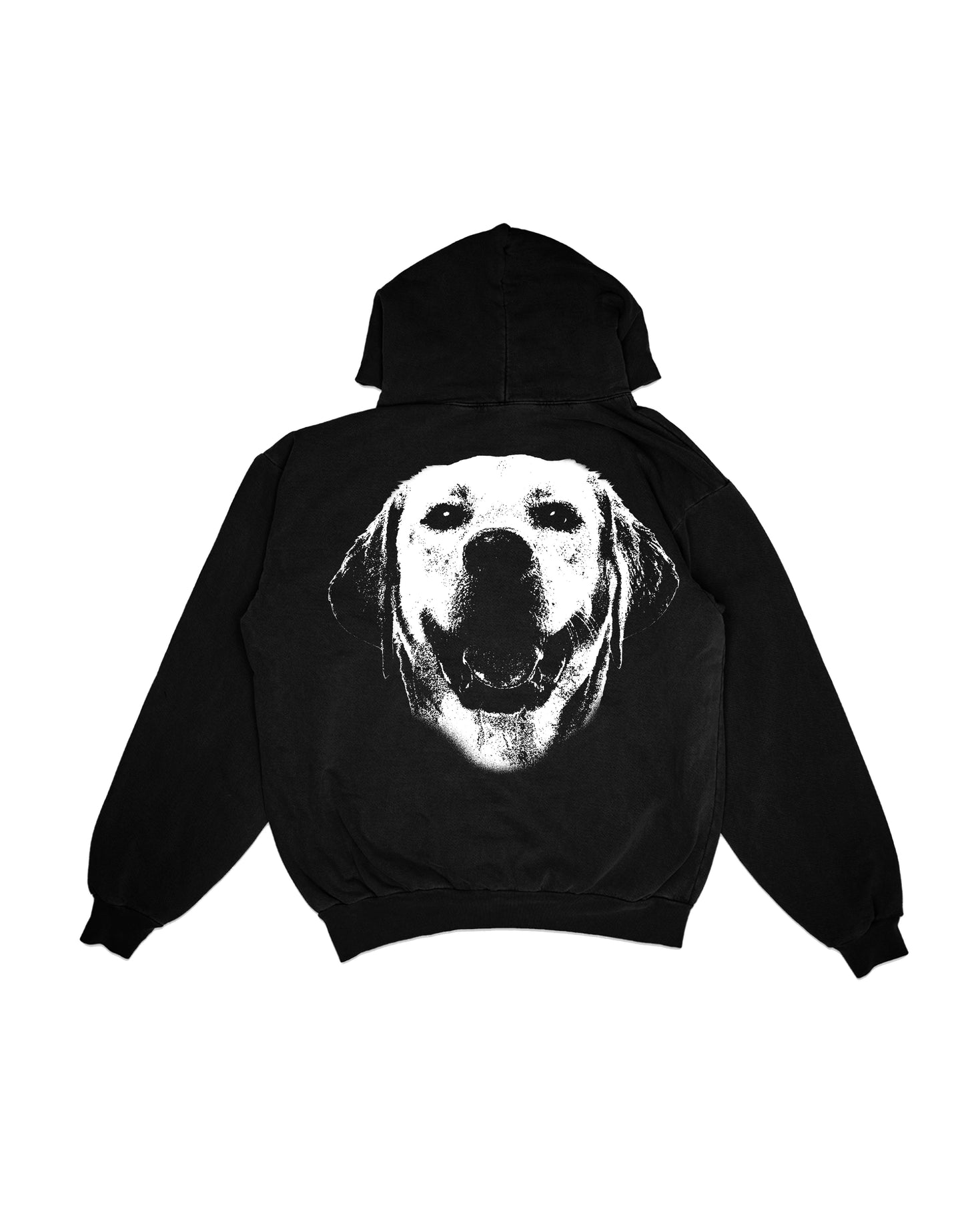 AMDE LABRADOR RETREIVER HOODIE