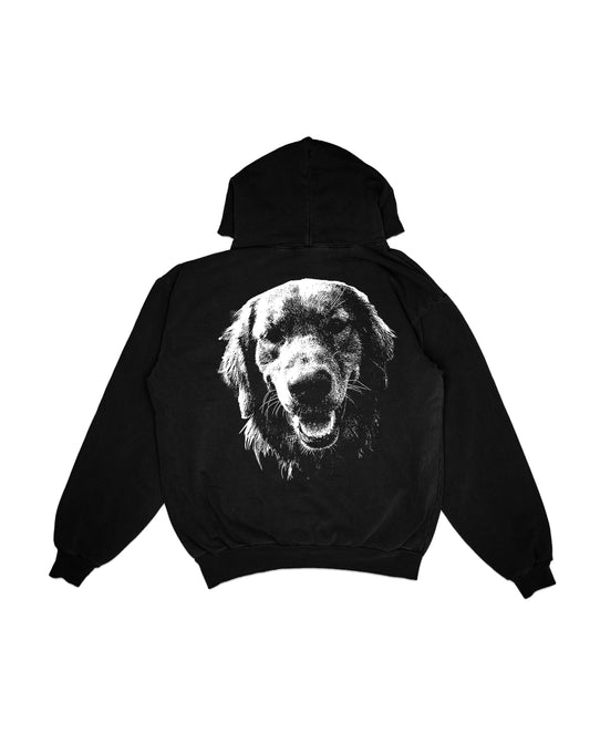 AMDE GOLDEN RETREIVER HOODIE